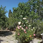 Ombra Del Carrubo Ottava