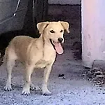Σπίτι διακοπών Ombra Del Carrubo Ottava