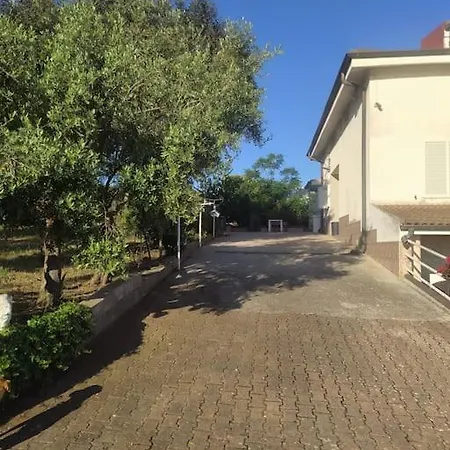 Ombra Del Carrubo * Ottava