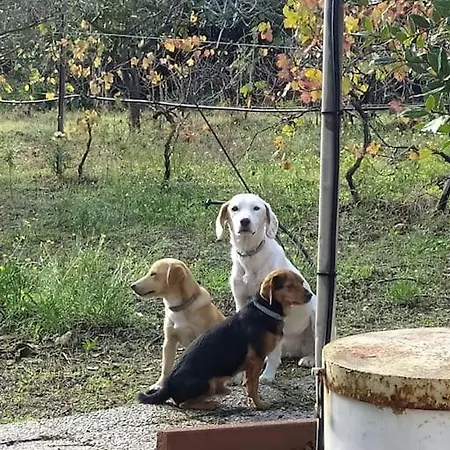 Ombra Del Carrubbo Holiday home